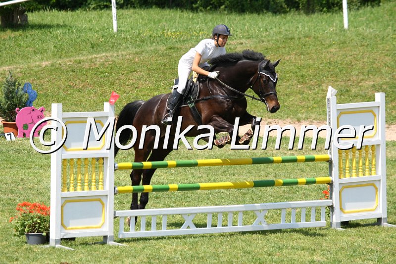 105M0201_Jack Pot_Springpf_L.JPG